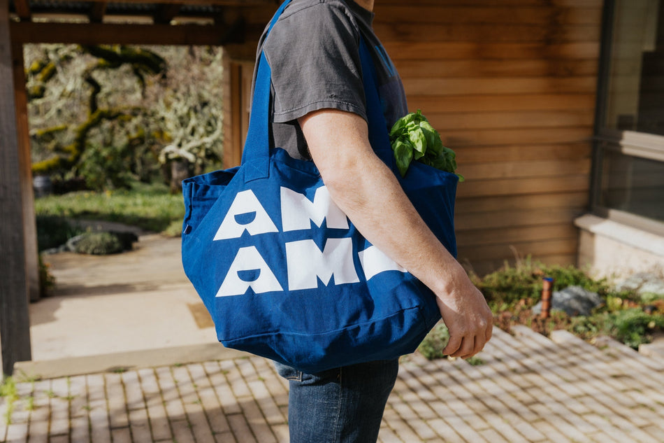 Ami Ami Tote Blue